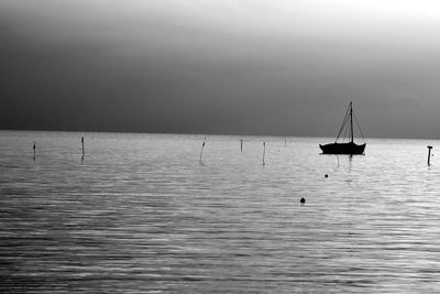 Sailboats sailing in sea against sky