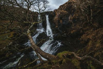 View of waterfall in forest