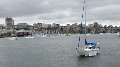 Sailboats sailing on sea against buildings in city