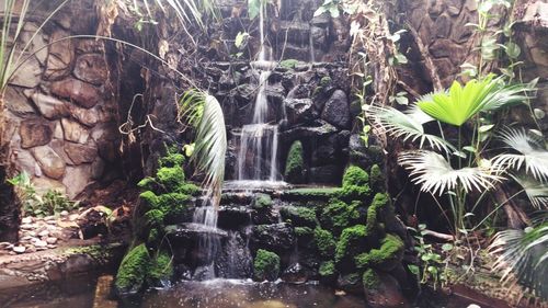 View of waterfall in forest