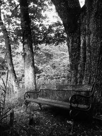 Empty bench in park