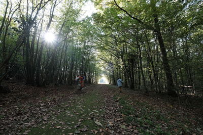 Rear view of people walking on street amidst trees in forest