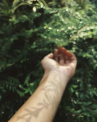 Close-up of human hand