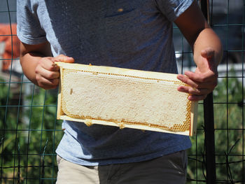 Midsection of man holding insect