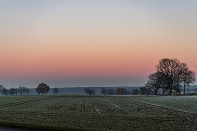 Scenic view of field against clear sky at sunset