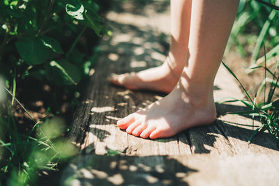 Kid walking barefoot on wood plank at a grass field. close up feet. detail of kids legs walking 