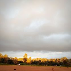 Trees on field against sky