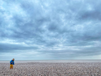 Rear view of man standing on beach