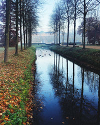 Scenic view of lake in forest during autumn