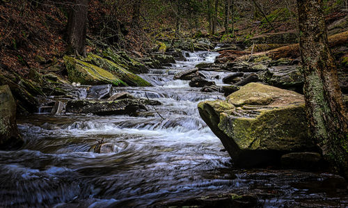 River flowing through rocks in forest