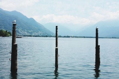 Wooden posts in lake against sky