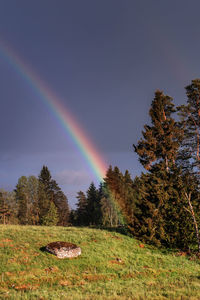 Scenic view of rainbow over trees on field against sky