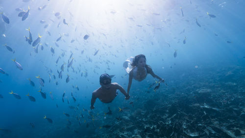 Couple scuba diving in sea
