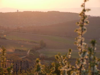 Scenic view of landscape against clear sky