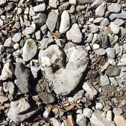 Full frame shot of pebbles