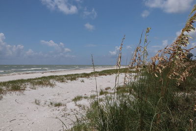 Scenic view of beach against sky