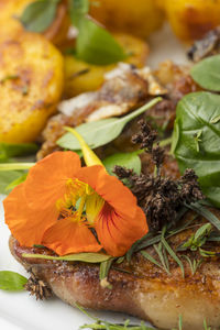 Close-up of flowers garnished on grilled meat
