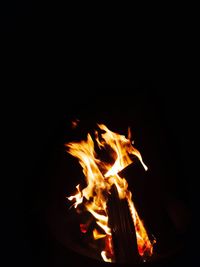 Close-up of bonfire at night