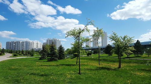 Trees on field against sky in city