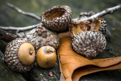 Close-up of fruits