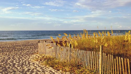 Scenic view of beach against sky