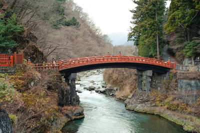 Arch bridge over river in forest