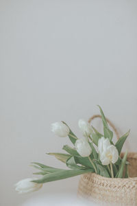 White tulips in boho basket 