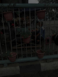 Potted plants in cage