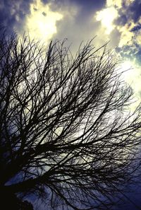 Low angle view of bare tree against cloudy sky