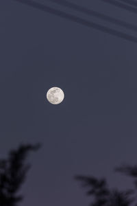Low angle view of moon in sky