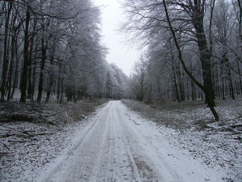 Road amidst trees in forest during winter