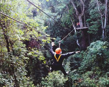 Man hanging on tree