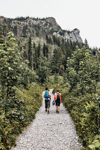 Family with backpacks hiking in a mountains actively spending summer vacation together
