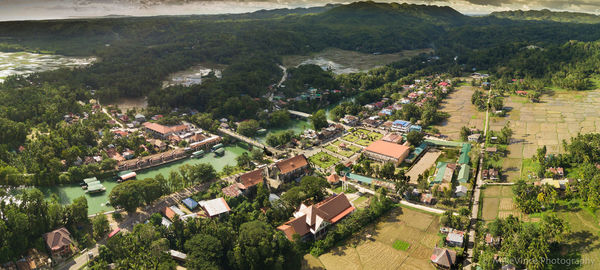 High angle view of houses and trees in town