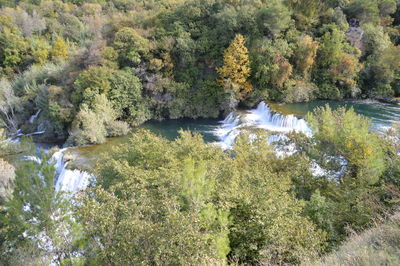 Scenic view of waterfall in forest