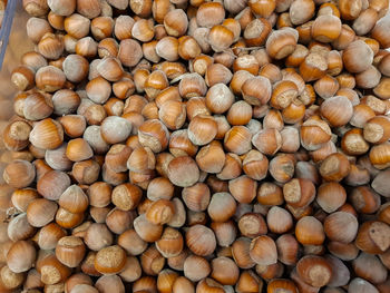 Top view of pile of hazelnuts