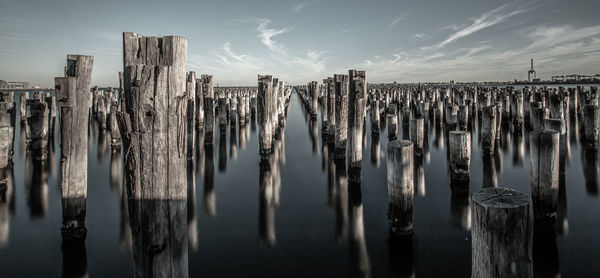 Panoramic view of wooden posts on beach
