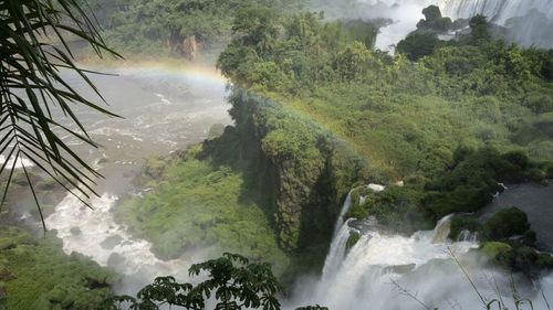 Scenic view of waterfall