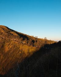 Scenic view of landscape against clear blue sky