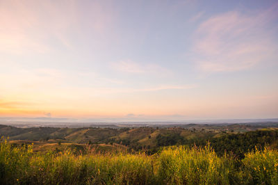 Scenic view of field against sky during sunset