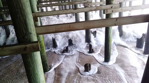 View of birds in winter