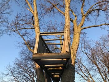 Low angle view of bare trees against clear sky