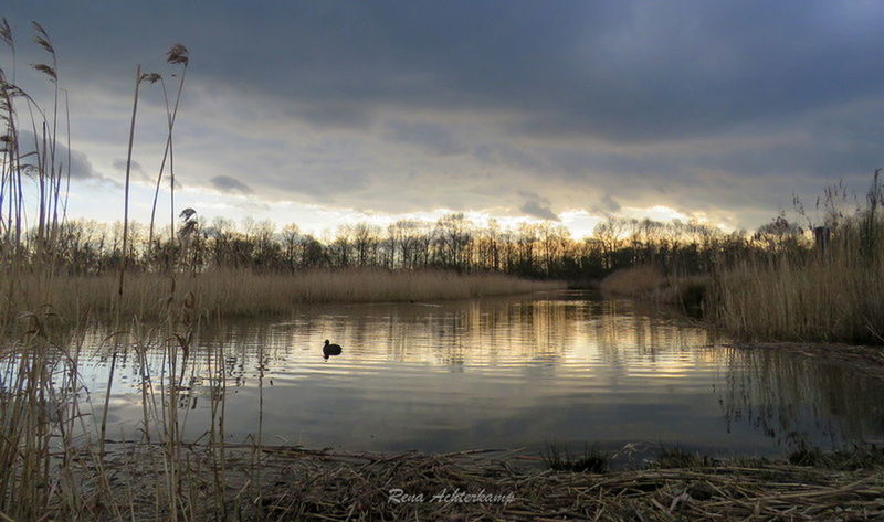 SCENIC VIEW OF LAKE AT SUNSET