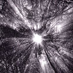 Low angle view of bare trees against sky