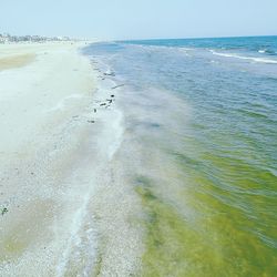 Scenic view of beach against clear sky