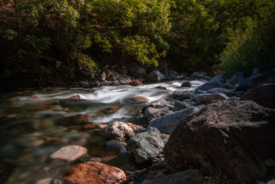 Stream flowing through rocks in forest