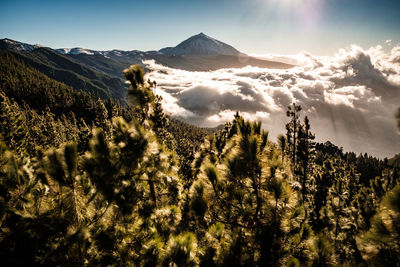 Scenic view of landscape against sky