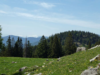 Scenic view of landscape against sky