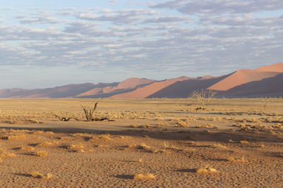 Scenic view of desert against sky