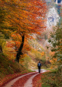 Rear view of woman walking on road during autumn